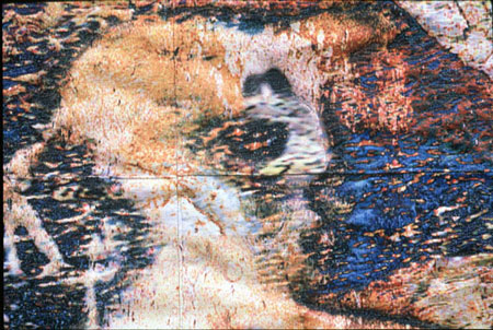 Cave Wall VI: He / She